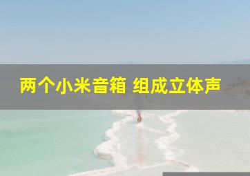 两个小米音箱 组成立体声